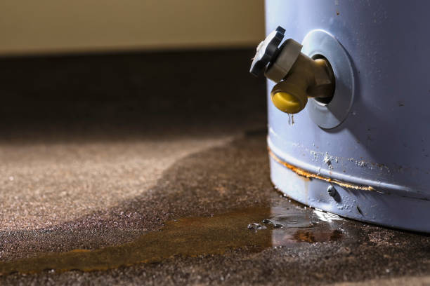Best Flooded house restoration  in Santa Rosa, TX