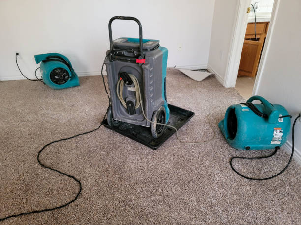 Best Fire Damage Restoration  in Santa Rosa, TX