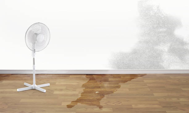 Water damage restoration mold remediation in Santa Rosa, TX
