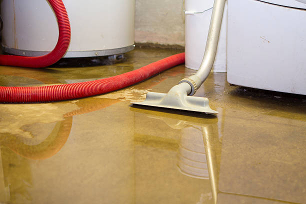 Best Fire Damage Restoration  in Santa Rosa, TX