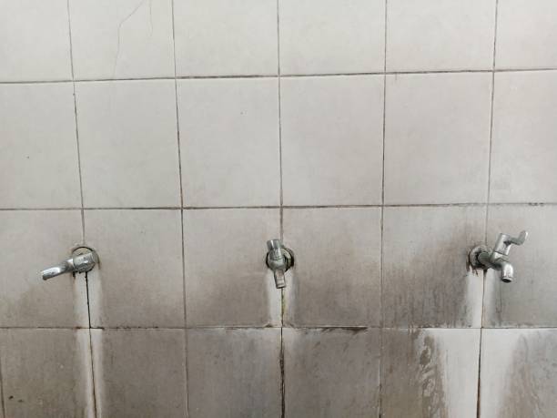 Best Flood damage cleanup  in Santa Rosa, TX