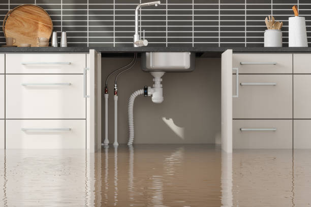 Trusted Santa Rosa, TX Water damage restoration Experts